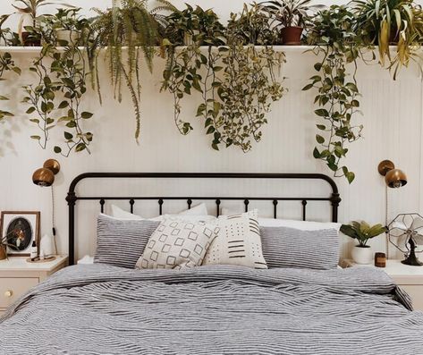 Plants Above Bed, Shelf Above Bed, Shelf Decor Bedroom, Lots Of Plants, Plant Shelf, Bedroom Plants, Bedroom Decorating Ideas, Above Bed, Bedroom Decorating