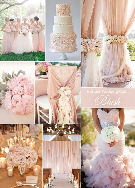 Blush = Gorgeous!!!! Blush Pink Weddings, Wedding Theme Colors, Rose Gold Wedding, Blush Wedding, Romantic Weddings, Wedding Color Schemes, Wedding Themes, Pink Wedding, Wedding Trends