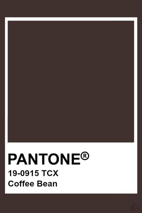 Pantone Coffee Color, Brown Pantone Shades, Dark Pantone Colors, Brown Colour Pantone, Brown Pantone Palette, Pantone Colors Brown, Pantone Brown Shades, Dark Brown Pantone, Pantone Espresso