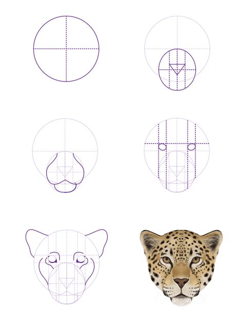 How to Draw Animals: Big Cats, Their Anatomy and Patterns – Part 2 Leopard Vector Illustration, How To Draw A Jaguar, How To Draw Big Cats, Jaguar Cartoon, Cartoon Jaguar, Jaguar Drawing, Sketches Cartoon, Leopard Drawing, Jaguar Head