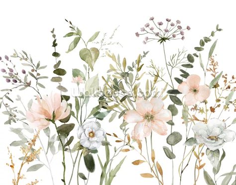 Create a feature wall with these beautiful floral wallpaper murals by Carol Robinson. FREE SHIPPING to mainland US destinations within 3 to 5 business days. Botanical Sketchbook, Indoor Ideas, Sage Green Wallpaper, Wallpaper Companies, Botanical Artwork, Style Cottage, Mural Floral, Wallpaper Murals, Mural Design