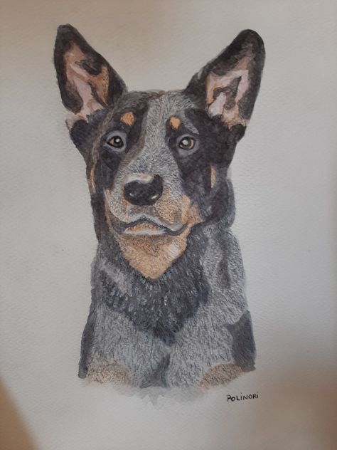 Watercolor Pets, Abstract Painting Easy, Aussie Cattle Dog, Dog Watercolor Painting, Dog Artwork, Painting Easy, Watercolor Dog, Ffa, Blue Heeler