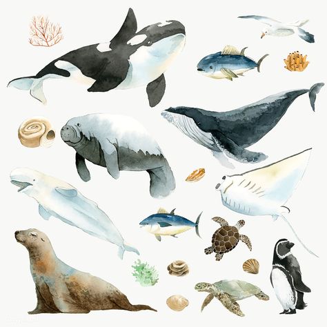 Marine Poster, Sea Mammal, Watercolor Whale, Whale Art, Watercolor Set, Seni Cat Air, Gambar Figur, Aquatic Animals, Lukisan Cat Air