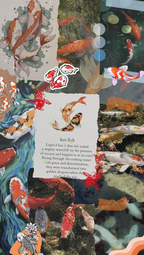 Koi Fish Laptop Wallpaper, Koi Fish Homescreen, Koi Fish Pisces, Koi Fish Aesthetic, Book Cover Aesthetic, Koi Wallpaper, Pisces Aesthetic, Fish Aesthetic, Butterfly Koi