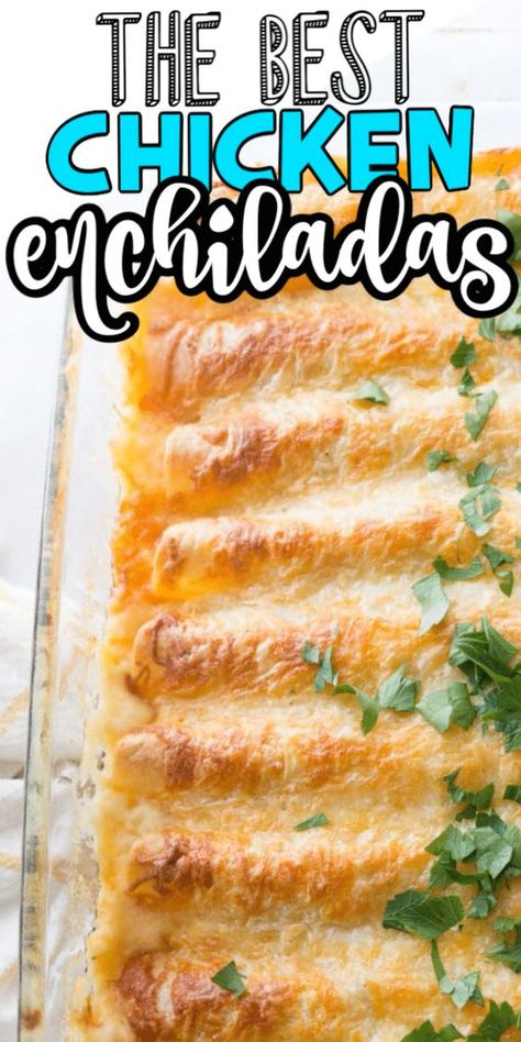 White Chicken Enchiladas Corn Tortillas, Recipes Using White Corn Tortillas, White Corn Tortilla Recipes, Chicken Enchiladas With White Sauce, Enchiladas With White Sauce, White Sauce Enchiladas, Cream Cheese Enchiladas, Enchiladas Easy, Enchiladas Recipes