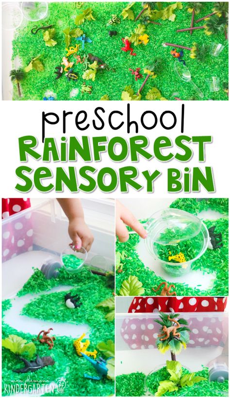 Preschool: Rainforest - Mrs. Plemons' Kindergarten Rainforest Dramatic Play, Rainforest Activities For Toddlers, Rainforest Sensory Bin, Preschool Rainforest Theme, Sensory Activities Preschool, Rainforest Games, Rainforest Worksheets, Preschool Rainforest, Rainforest Preschool