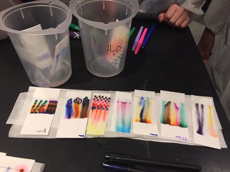 Chromatography Color Experiment For Kids | Children's Museum of Sonoma County Chromatography Experiment, Coffee Filter Chromatography, Chromatography Butterflies, Color Mixing Science Experiment, Paper Chromatography, Change Hair Color, Childrens Museum, Small Containers, Permanent Marker