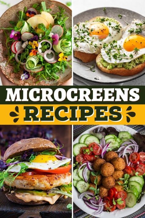 Recipes Using Microgreens, Recipes For Microgreens, Microgreen Recipes Ideas, Micro Green Recipes, Broccoli Microgreens Recipe, Recipes With Microgreens, Microgreens Recipe Ideas, Micro Greens Recipe, Moon Recipes