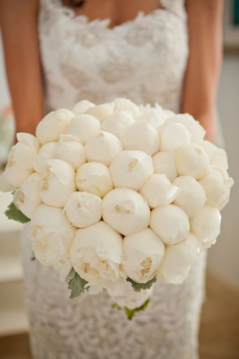 All white closed peonies: http://www.stylemepretty.com/2015/06/10/the-25-prettiest-peony-bouquets/ Pretty Wedding Bouquet, Peony Bouquet Wedding, All White Wedding, Peony Wedding, Peonies Bouquet, Mod Wedding, White Peonies, Pretty Wedding, Bride Bouquets