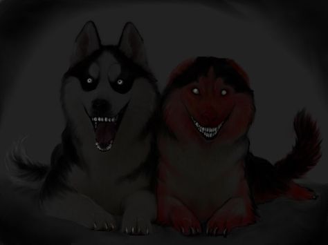 Smile dog(s) Creepy Pasta Aesthetic, Smile Dog Creepy Pasta, Creepy Dog, Smile Dog, Scary Creepypasta, Creepy Smile, Creepy Eyes, Creepypasta Funny, Scary Dogs