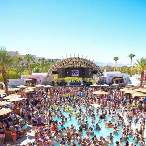 Best Pools In Vegas, Best Pools, Poolside Snacks, Las Vegas Pool, Pool Club, Vegas Pool, Vegas Pools, Vegas Pool Party, Vegas Travel