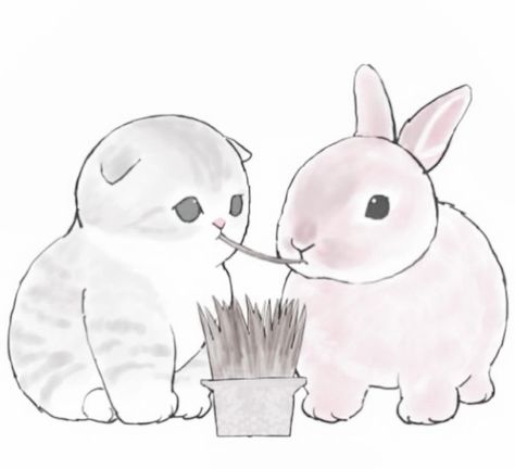 Bunny And Kitty Drawing, Bunny Cat Drawing, Cat And Bunny Matching Pfp, Cat And Bunny Drawing, Bunny And Cat Drawing, Small Love Drawings, Cat Cuddle, Bunny Drawing, Cute Cat Drawing