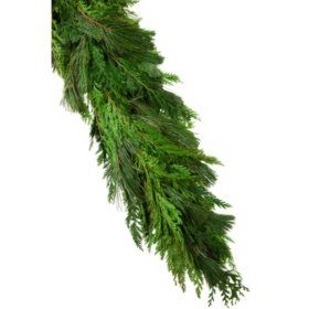 Garland, Mixed Pine & Cedar (25 ft.) Cedar Garland Christmas, Christmas Whoville, Christmas Outdoors, Fresh Garlands, Pine Garland, Willow Branches, Members Mark, Wreaths & Garlands, Christmas Tablescapes