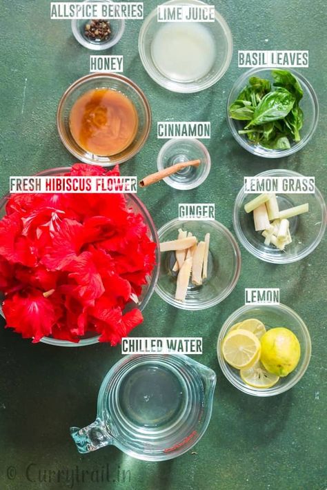 Hibiscus Drink Recipes, Hibiscus Tea Blend, Ginger Lemon Tea Recipe, Jamaica Tea, Hibiscus Benefits, Hibiscus Tea Recipe, Heathy Drinks, Healing Tea Recipes, Hibiscus Tea Benefits