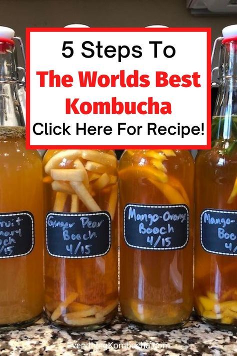 Kombucha Recipe Scoby, Kombucha Starter Recipe, Raspberry Kombucha Recipe, Diy Kombucha How To Make, Kambucha Scobie, Making Kombucha At Home, How To Make Kombucha Step By Step, Kombucha Recipe For Beginners, Homemade Kombucha Recipe