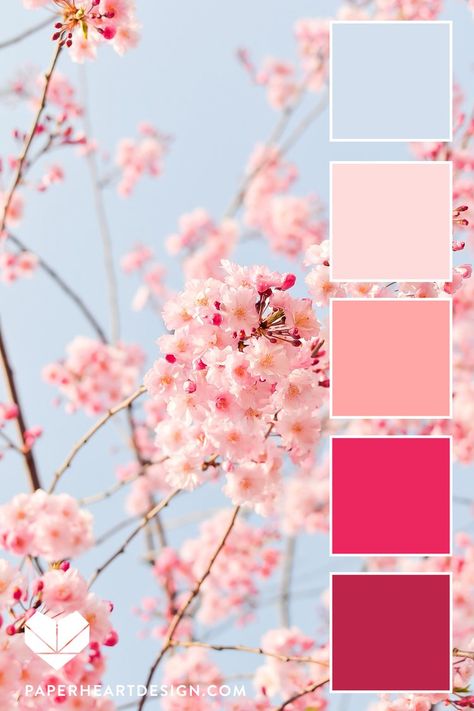 Color Palette: Viva Magenta Pantone 2023 Color of the Year — Paper Heart Design Blush Pink Palette Color Schemes, Pink Spring Color Palette, Colors Of Pink Shades, Cherry Blossom Decor Bedroom, Pink And Blue Pallet, Colors That Go With Blush Pink, Pink Blue Color Scheme, Lively Color Palette, Cute Pallete Color