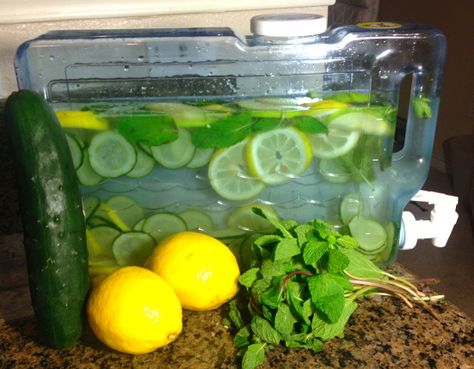 Flat Belly Water :: Lemon / Cucumber / Mint / Ginger….plus the health benefits of each. Flat Belly Water, Flat Tummy Water, Lemon Cucumber, Water Benefits, Juice Recipes, Water Recipes, Flavored Water, Detox Water, Health Drink