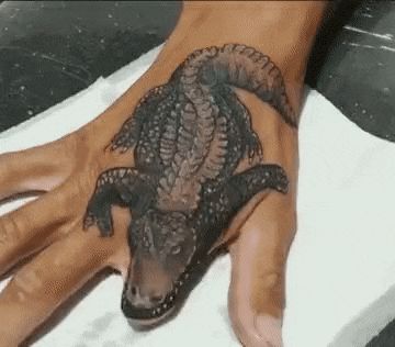 Adapt and overcome Funny Google Searches, Finger Tattoo, Finger Tattoos, Best Funny Pictures, Meme Pictures, New Memes, Daily Dose, Alligator, Funny Pictures