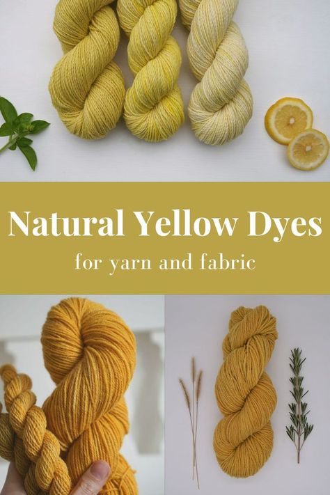 three pictures, one of three yellow skeins of yarn next to two slices of citrus and a branch of mint on a white background, one of a hand holding two skeins of yellow yarn and one of a yellow skein of yarn next to some branches on a white background. a text saying natural yellow dyes for yarn and fabric. Natural Yellow Dye, Natural Wool Dye, Natural Dyes For Yarn, Pioneer Skills, Wool Processing, Wool Dyeing, Dye Plants, Dye Yarn, Egg Yellow