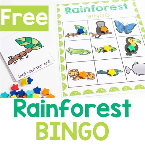 Free printable Rainforest BINGO game for preschool and kindergarten. Perfect for learning about rainforest animals with small groups. #rainforesttheme #animaltheme #preschool #prek #kindergarten #science #freeprintable #lifeovercs Preschool Rainforest, Rain Forest Animal, Jungle Theme Activities, Rainforest Preschool, Rainforest Crafts, Preschool Jungle, Rainforest Activities, Game For Preschool, Rainforest Theme