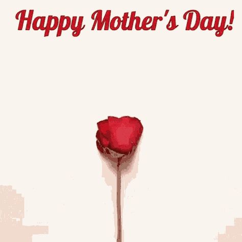 Happy Mother's Day Cute Gif, Mothers Day Animation, Hey Sisters, Rose Gif, Snoopy Collection, Moms Day, Mothers Day Baskets, Happy Mothers Day Images, Mothers Day Gif