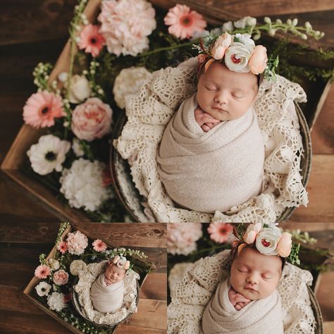 Newborn Photo Flowers, Newborn Photos With Flowers, Wildflower Newborn Photos, Floral Newborn Photography, Infant Photoshoot, Evelyn Rose, Newborn Ideas, Photoshoot Studio, Newborn Shoot