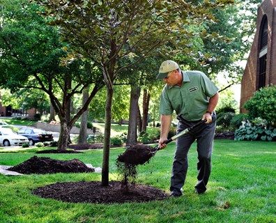 Front Garden Bed Ideas, Landscape Design Backyard, Mulch Around Trees, Acreage Landscaping, Tree Mulch, Spring Landscaping, Lush Recipes, Landscaping Around Trees, Mulch Landscaping