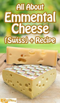 Emmental Cheese Recipes, Homemade Mozzarella Cheese, Cheese Recipes Homemade, Cheese Making Recipes, Cheese At Home, Swiss Recipes, Emmental Cheese, Making Cheese, Diy Cheese