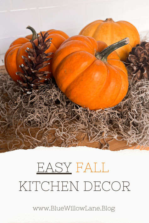 Transform your kitchen into a cozy autumn retreat with this easy fall decor idea! 🍂✨ In just a few simple steps, you can create a stunning countertop display using mini pumpkins, rustic pinecones, and natural Spanish moss. Perfect for busy moms looking to add seasonal charm to their home, this arrangement not only brings warmth. Learn how to layer textures and colors for a beautiful fall centerpiece that will impress family and friends. #FallDecor #KitchenInspo #AutumnVibes #HomeDecor #CozyHome Easy Fall Decor, Fall Kitchen Decor, Countertop Display, Kitchen Counter Decor, Counter Decor, Fall Kitchen, Spanish Moss, Cozy Autumn, Mini Pumpkins