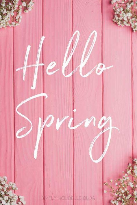 Hello Spring Quotes, Hello Spring Wallpaper, Quotes Spring, Spring Quote, Spring Quotes, Pink Photography, Photography Spring, Spring Inspo, Spring Mood