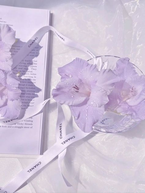 Pin by Karma on Shades of Lilac & Purple in 2022 | Purple aesthetic, Lavender aesthetic, Purple wallpaper Rp Soft Purple, Purple Aesthetic Lavender, Theme Rp Soft Purple, Purple Desktop Wallpaper, Purple Desktop, Aesthetic Purple Wallpaper, Aesthetic Lavender, Shades Of Lilac, Purple Aesthetic Background