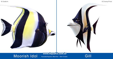 Moorish Idol, Finding Nemo, Disney Pixar, Pixar, Sport Shoes, Disney, Pins, Color