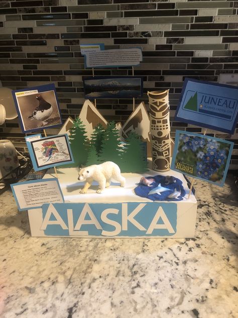 Alaska Float Project, State Projects For Kids 5th Grades, Alaska Diorama, State Float School Project, Shoebox Float, Canada For Kids, State Project, Habitats Projects, Social Project