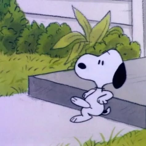 Charlie Brown Wallpaper, Cute Snoopy, Dope Cartoons, Baby Snoopy, Snoopy Funny, Snoopy Images, Snoopy Wallpaper, Snoopy Pictures, Snoop Dog