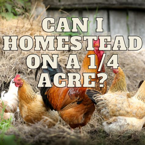 Homestead On 1/4 Acre, 25 Acre Homestead Layout, Quarter Acre Homestead, Self Sufficient Homestead Layout, Half Acre Homestead, 4 Acre Homestead Layout, Quarter Acre Homestead Layout, Half Acre Homestead Layout, 2 Acre Homestead