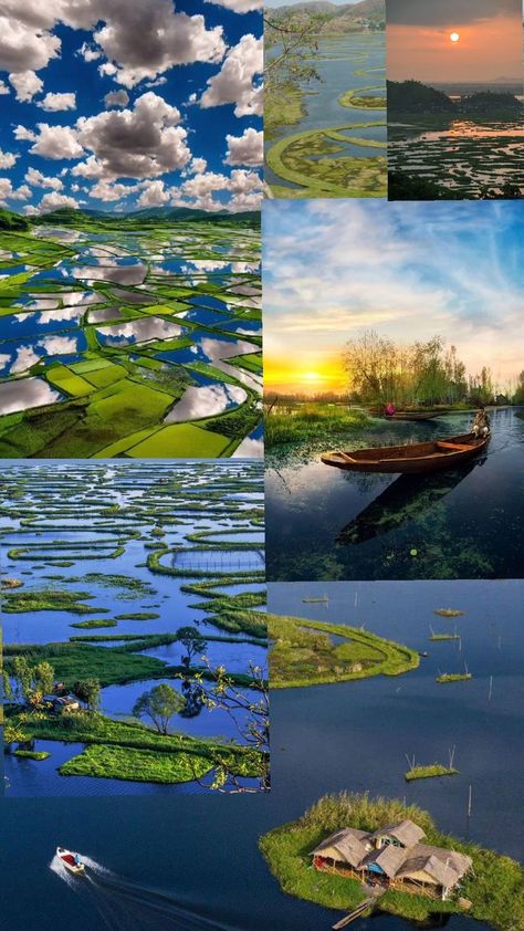 floating islands of loktak Lake, located in Manipur, breathtaking natural phenomenon Loktak Lake Manipur, Loktak Lake, Floating Islands, Natural Phenomena, Incredible India, Cute Wallpaper Backgrounds, Wallpaper Backgrounds, Cute Wallpapers, Floating