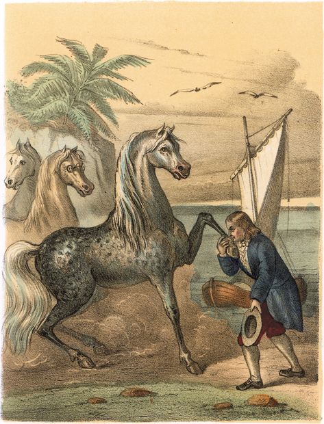 Gulliver leaving the land of the Houyhnhnms; illustration from Jonathan Swift’s Gulliver’s Travels, 1726 Animal Crossing Gulliver, Gullivers Corn, Gullivers Travels Illustration, Gullivers Travels, Acts 17, Gulf Countries, Jonathan Swift, Gulliver's Travels, Literature Art