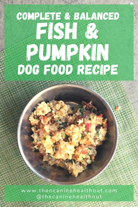 Salmon For Dogs Recipe, Dog Food Recipes With Fish, Low Sodium Dog Food Recipes, Omega 3 Foods For Dogs, Canned Salmon Dog Food Recipe, Homemade Salmon Dog Food Recipes, Food Recipes With Chicken, Fish Pumpkin, Balanced Dog Food