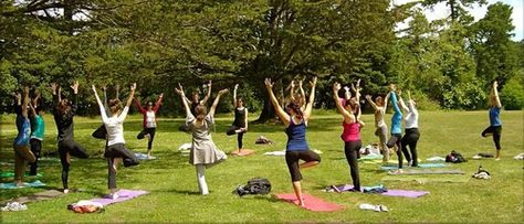 #yoga #womenshealth #recovery #rehab Yoga Garden, Yoga Ashtanga, Yoga Outdoor, California Academy Of Sciences, Yoga Trainer, Sport Park, Outdoor Pictures, Yoga Iyengar, Ocean Air