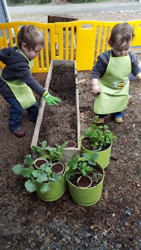 Teaching Toddlers How Things Grow and How to Plant a Garden. Gardening with Toddlers Spring Time Activities, Toddler Garden, Educational Toddler Activities, Creative Art Activities, Preschool Garden, Planting For Kids, Plant A Garden, Toddler Outdoor, Garden Activities