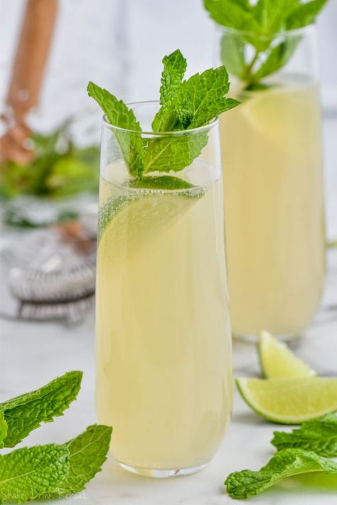 If you can choose between having a Moscow Mule and Champagne . . . don't! These Champagne Moscow Mules are the best of both worlds, gingery, full of lime and vodka, and bubbly! Moscow Mule With Gin, Moscow Mule Cocktail, Moscow Mules, Moscow Mule Recipe, Frozen Frozen, Champagne Drinks, Mule Cocktail, Mule Recipe, Classic Cocktail Recipes