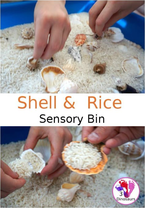 Easy Sensory Play: Shell and Rice Sensory Bin - a simple and easy bin that kids can have fun playing in - 3Dinosaurs.com #3dinosaurs #sensorybin #beach #sensoryplay Shell Sensory Bin, Simple Tough Tray Ideas, Beach Sensory Play, Beach Tuff Tray Ideas, Seaside Eyfs Activities, Summer Tuff Tray Ideas Eyfs, Simple Tuff Tray Ideas Toddlers, Simple Tuff Tray Ideas, Beach Tuff Tray