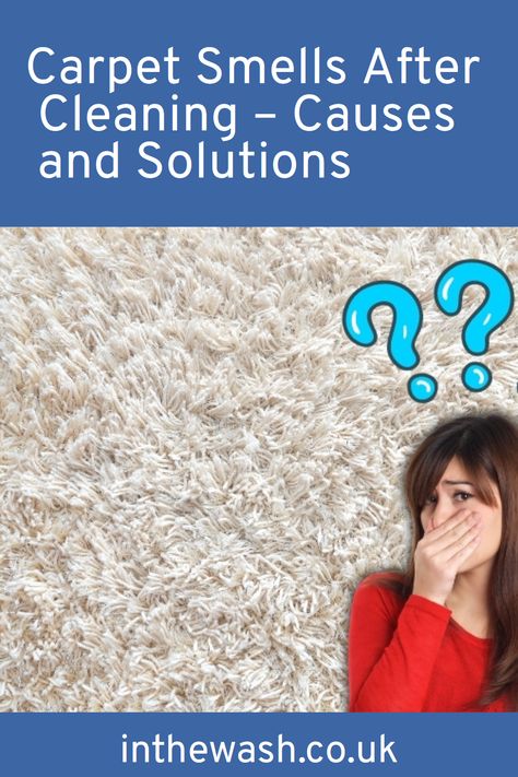 🌸✨ Carpet care conundrum? Unlock the mysteries of post-cleaning carpet smells. Explore causes, solutions, and the best methods for a fresh and clean carpet! 🧼🏠 Mildew Smell Out Of Carpet, Steam Cleaning Carpet, Dishwasher Smells Bad, Smelly Carpet, Apartment Carpet, Cleaning Carpets, Carpet Smell, Clean Carpet, Natural Carpet