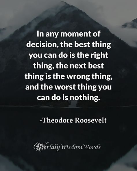 Do The Next Right Thing, Theodore Roosevelt Quotes, Roosevelt Quotes, Theodore Roosevelt, Real Talk, You Can Do, Quote Of The Day, Best Quotes, Words Of Wisdom