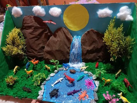 Rainforest Model Projects, River Projects For Kids, Rainforest Diorama, Easy Kids Art Projects, Forest Diorama, Human Body Science Projects, Science Project Models, Rainforest Project, Forest Project