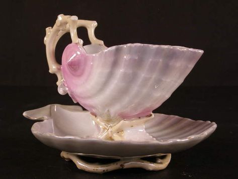 antique sea shell cup Tea By The Sea, Seashell Ceramics, Tea Cup Aesthetic, Sea Furniture, Shell Furniture, Mermaid Cup, Antique Objects, Pretty Tea Cups, Antique Tea Cups