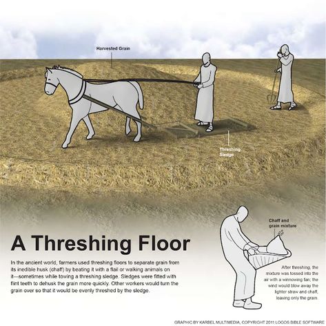 DAILY, WEEKEND, AND HOLIDAY INTERNET EVANGELIZE TO THE WORLD MINISTRY: A Threshing Floor Bible Visuals, Bible Infographics, Bible Meaning, Bible Genealogy, Patio Edging, Threshing Floor, Biblical Stories, Bible Timeline, Biblical History