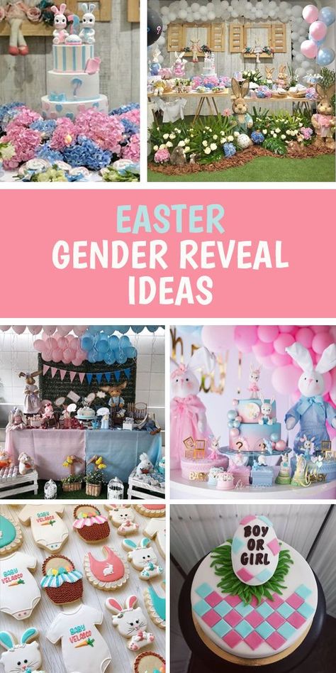 #easter #eastergenderreveal #genderreveal #babyreveal Gender Reveal Ideas Bunny Theme, Gender Reveal Ideas Easter Theme, Easter Baby Reveal Ideas, Bunny Theme Gender Reveal, Gender Reveal Ideas Easter, Easter Gender Reveal Ideas For Party, Easter Egg Hunt Gender Reveal, Gender Reveal Easter Theme, Bunny Gender Reveal Cake