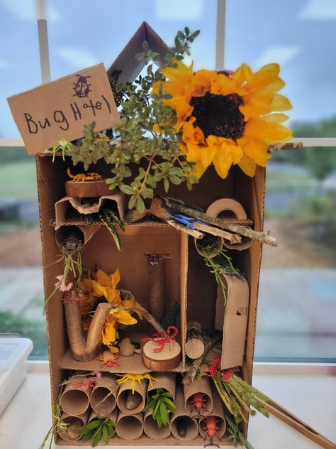 Montessori inspired bug hotel. Transitional Kindergarten. Preschool. Bugs. Bugs Hotel Ideas, Insect Provocations, Bug Hotel Diy Kids, Bug Hotel Ideas, Bugs Hotel, Bug Habitat, Minibeasts Activities, Preschool Bugs, Bug Hunting