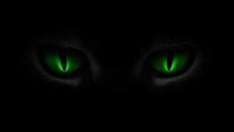 Beware the green-eyed monster... Green Eyed Monster Jealousy Art, Donkey Funny, Swan Family, Green Eyed Monster, Monster Tattoo, Werewolf Aesthetic, Scary Eyes, English Stories For Kids, Very Sleepy